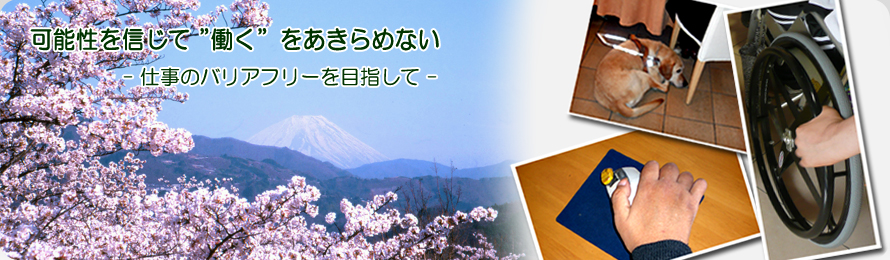 パソコン操作をしている車椅子の女性のイラスト画像