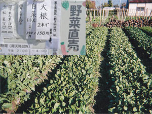 野菜直売の写真